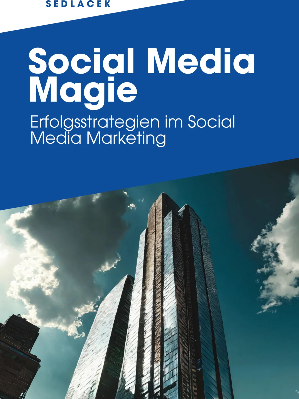 Inside the Corporation