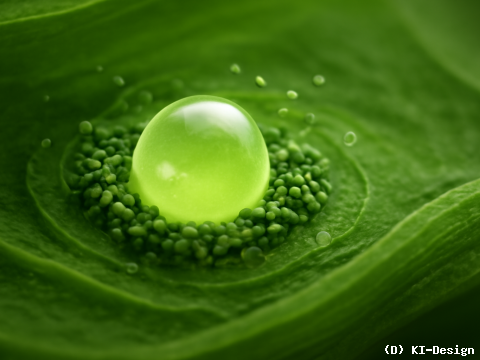 Neue Entdeckungen im Pyrenoid: Grünalgen steigern CO2-Fixierung und optimieren Photosynthese für nachhaltige Ernährung.